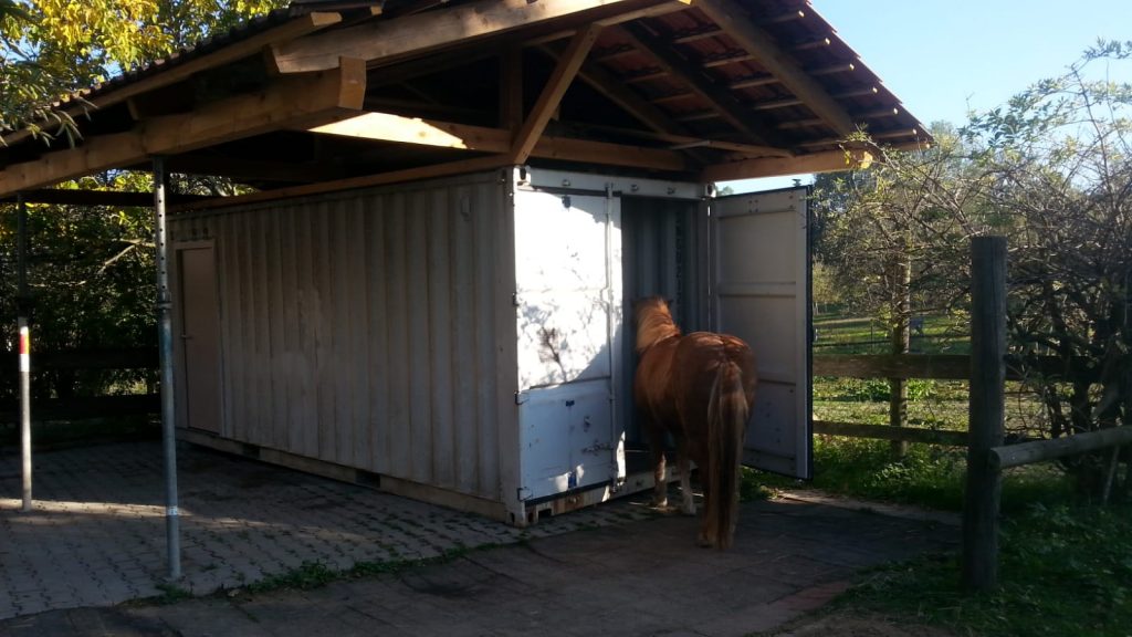 Pferdeinhalation in selbstgebauter Außenbox