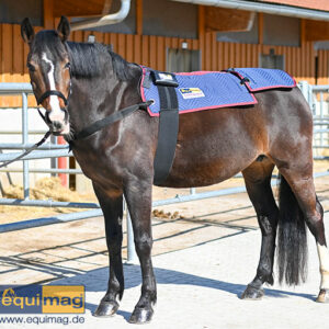 equimag_compact_Magnetfelddecke Pferd