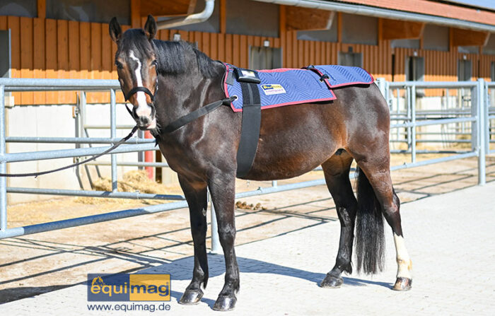 equimag_compact_Magnetfelddecke Pferd