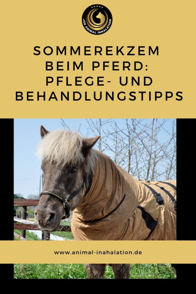 Pflegetipps Behandlungstipps Sommerekzem