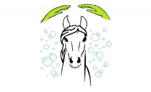 Logo Pferde in Harmonie