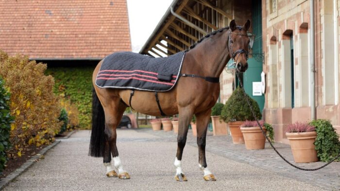 Massagedecke Pferd Horse ThermoTens Pro