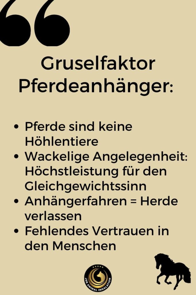 Gruselfaktor Pferdeanhänger - Mögliche Gründe, warum ein Pferd nicht einsteigt