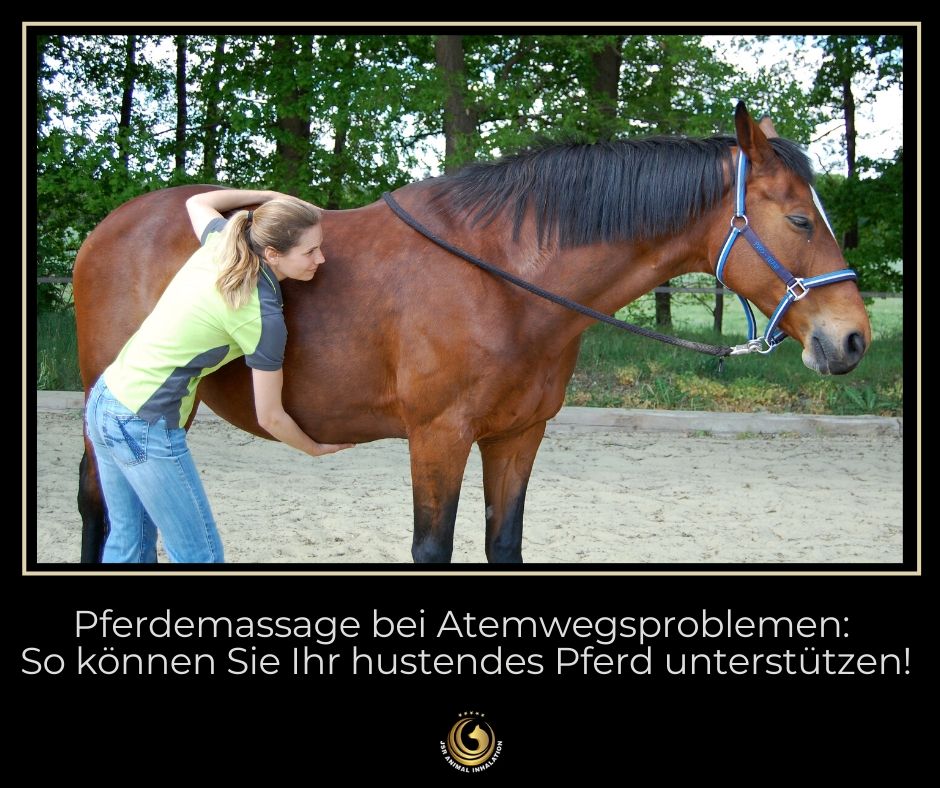 Pferdemassage-bei-Atemwegserkrankungen