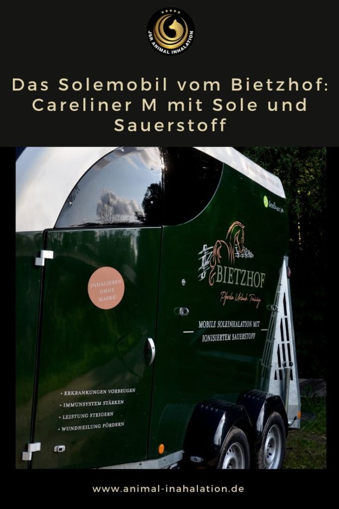 Careliner M Solemobil Bietzhof