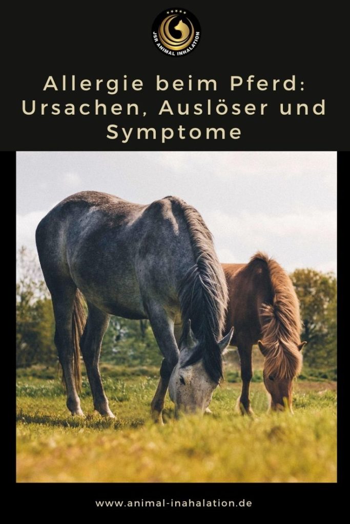 Auslöser und Ursache für Allergie beim Pferd