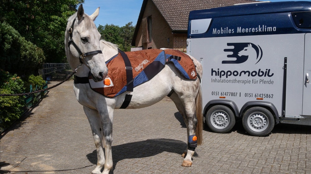 Die Bemer-Decke unterstützt das Angebot der Inhalationstherapie vom hippomobil