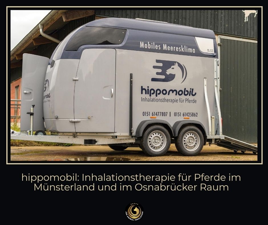 Hippomobil Solemobil in Münster und Osnabrück