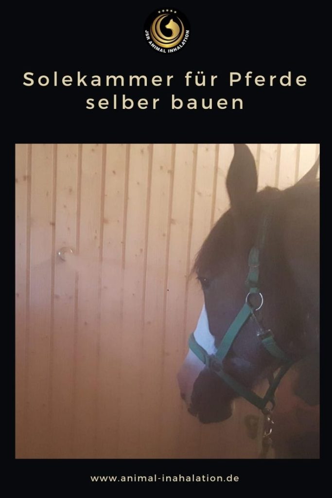 Solekammer selber bauen Tipps und Ideen