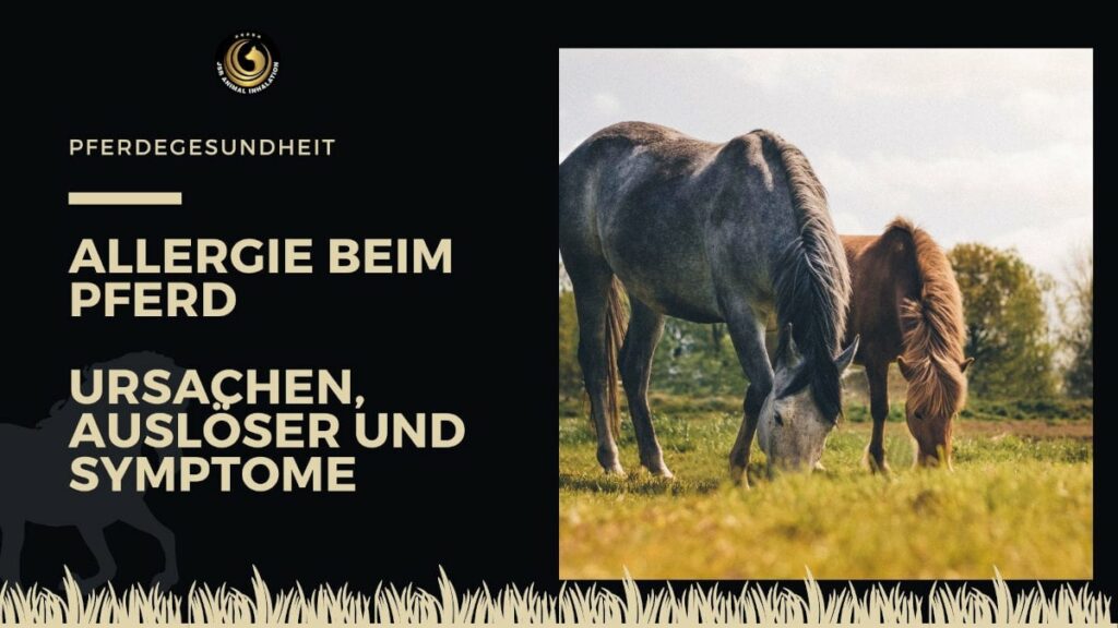 Ursachen und Auslöser für Allergien beim Pferd