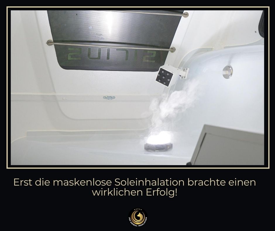 maskenlose Soleinhalation brachte erfolg