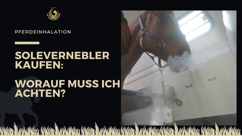 Solevernebler kaufen
