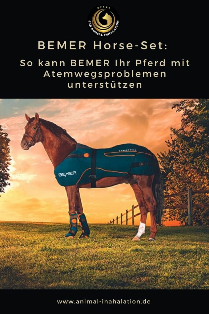 Bemer Horse Set hilft Pferde mit Atemwegsproblemen und chronischem Husten