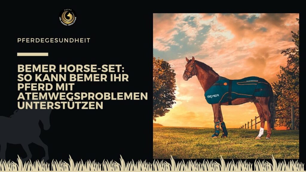 Bemer Horse Set für Pferde mit Atemwegserkrankungen