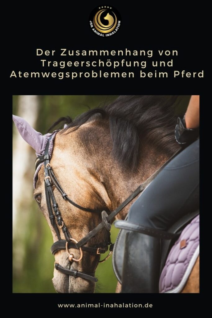 Zusammenhang von Husten beim Pferd und Trageerschöpfung