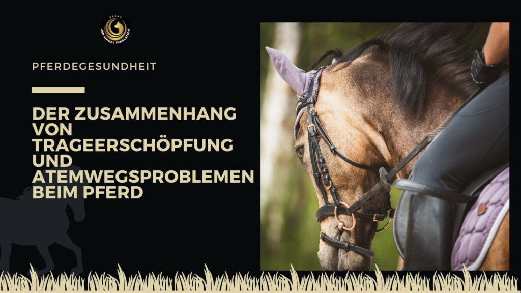 Trageerschöpfung und Atemwegsprobleme beim Pferd