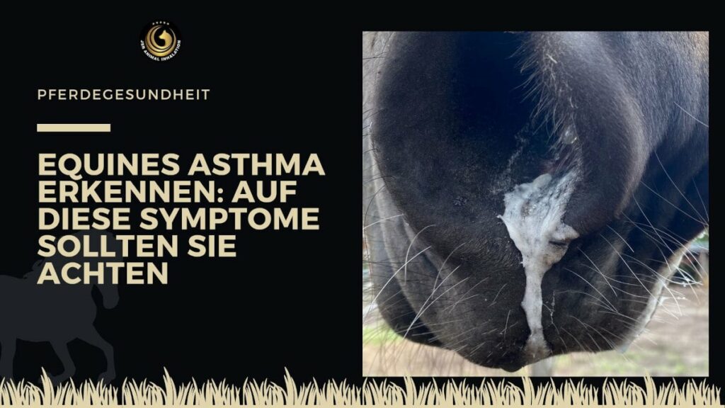 Equines Asthma Symptome