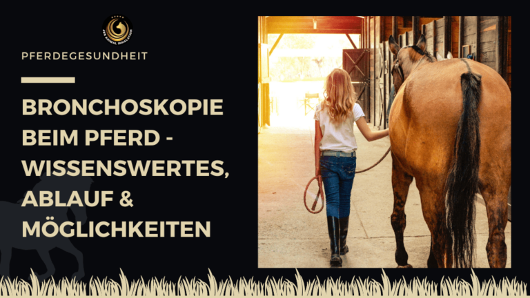 Bronchoskopie Pferd Kosten