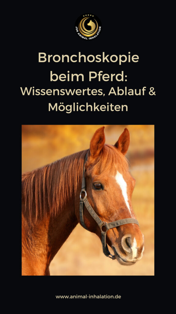 Bronchoskopie beim Pferd